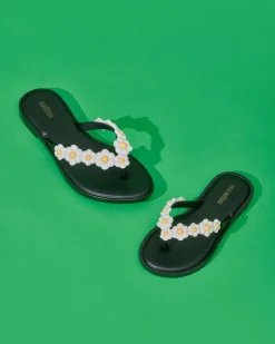 Flip Flop Spring